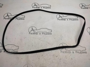 Ремень приводной MERCEDES-BENZ S-класс W220 рестайлинг (2002 - 2005) — Разборка Мерседес