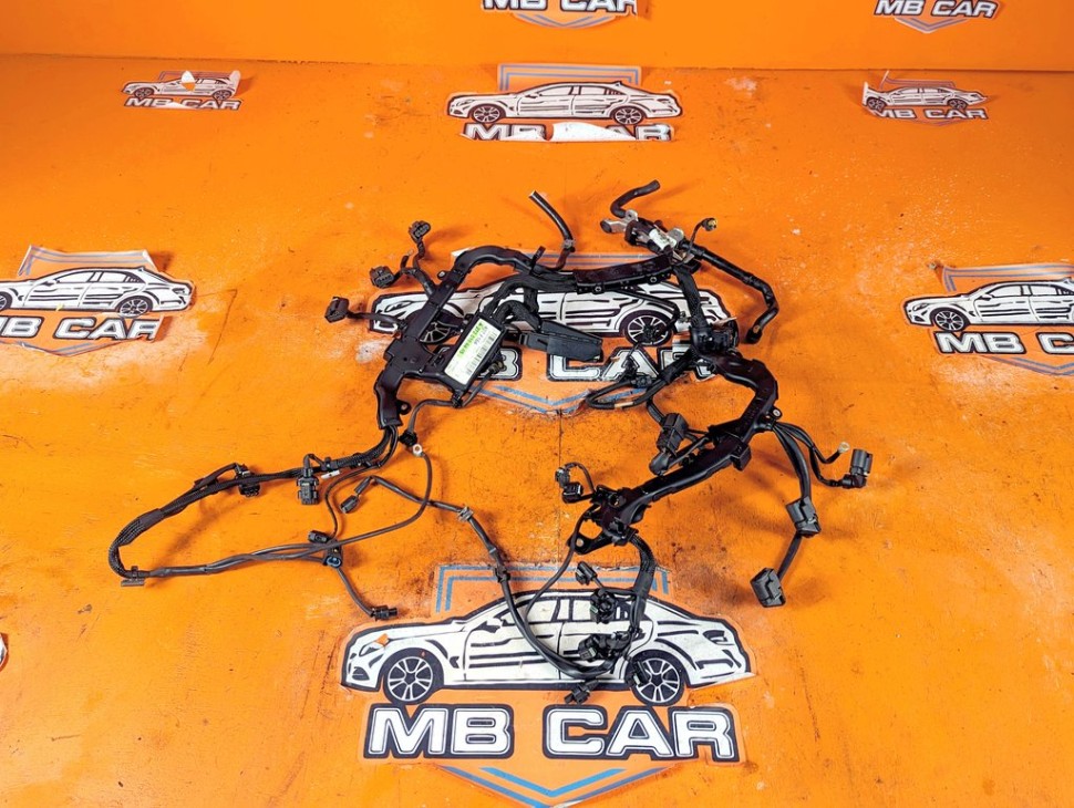 Проводка моторная MERCEDES-BENZ M-класс W164 рестайлинг (2008 - 2011) фото 1 &mdash; Разборка Мерседес