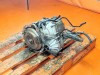 АКПП 7 серия MERCEDES-BENZ A-класс W168 (1997 - 2001) фото 1 &mdash; Разборка Мерседес