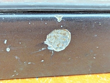 Ресницы фар MERCEDES-BENZ E-класс W124/S124/C124/A124 (1984 - 1997) — Разборка Мерседес