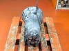 АКПП 5G-Tronic MERCEDES-BENZ E-класс W211/S211 (2002 - 2006) фото 7 &mdash; Разборка Мерседес