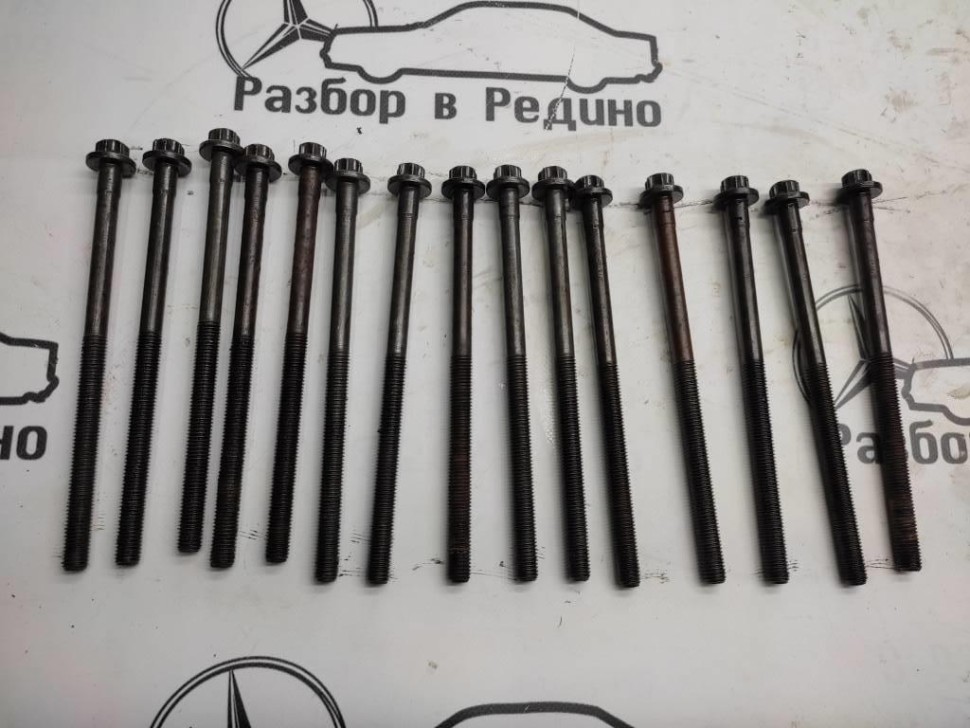 Болт ГБЦ MERCEDES-BENZ R-класс W251 (2005 - 2007) фото 1 — Разборка Мерседес