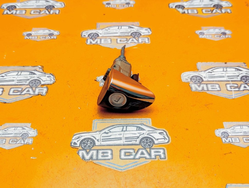 Личинки дверей MERCEDES-BENZ S-класс W220 (1998 - 2005) фото 1 — Разборка Мерседес