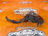 Кулак поворотный передний правый MERCEDES-BENZ S-класс W220 рестайлинг (2002 - 2005) S 430 L 4.3 4MATIC AT (279 л.с.) фото 2 &mdash; Разборка Мерседес