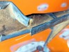 Обшивка багажника MERCEDES-BENZ Vito W638 (1996 - 2003) фото 12 &mdash; Разборка Мерседес