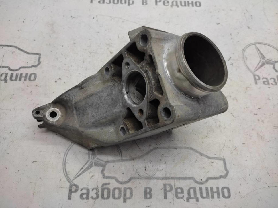 Лапа левая MERCEDES-BENZ Vito W639 (2003 - 2010) фото 1 — Разборка Мерседес