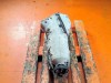 АКПП 5G-Tronic MERCEDES-BENZ SLK-класс R170 рестайлинг (2000 - 2004) фото 6 &mdash; Разборка Мерседес