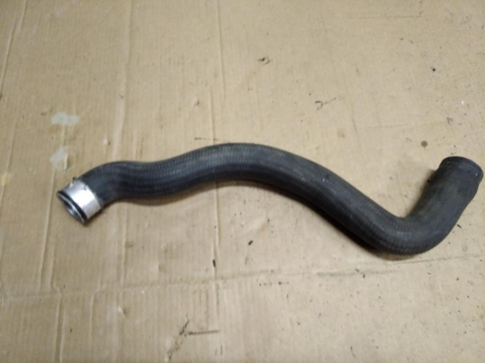 Патрубок радиатора MERCEDES-BENZ C-класс W203/S203/CL203 (2000 - 2004) фото 1 — Разборка Мерседес