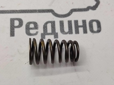 Пружина клапана ГРМ MERCEDES-BENZ M-класс W163 рестайлинг (2001 - 2005) — Разборка Мерседес