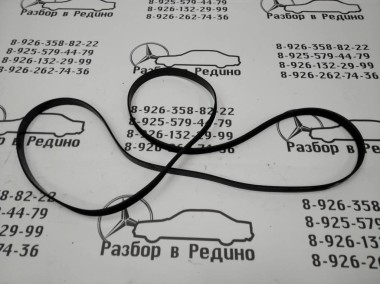 Ремень приводной MERCEDES-BENZ C-класс W203/S203/CL203 (2000 - 2004) — Разборка Мерседес