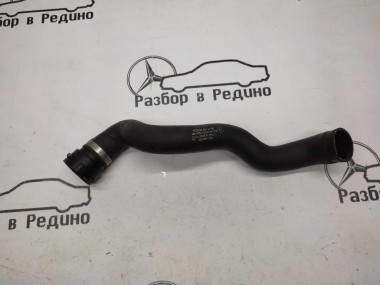 Патрубок радиатора MERCEDES-BENZ S-класс W220 (1998 - 2005) — Разборка Мерседес