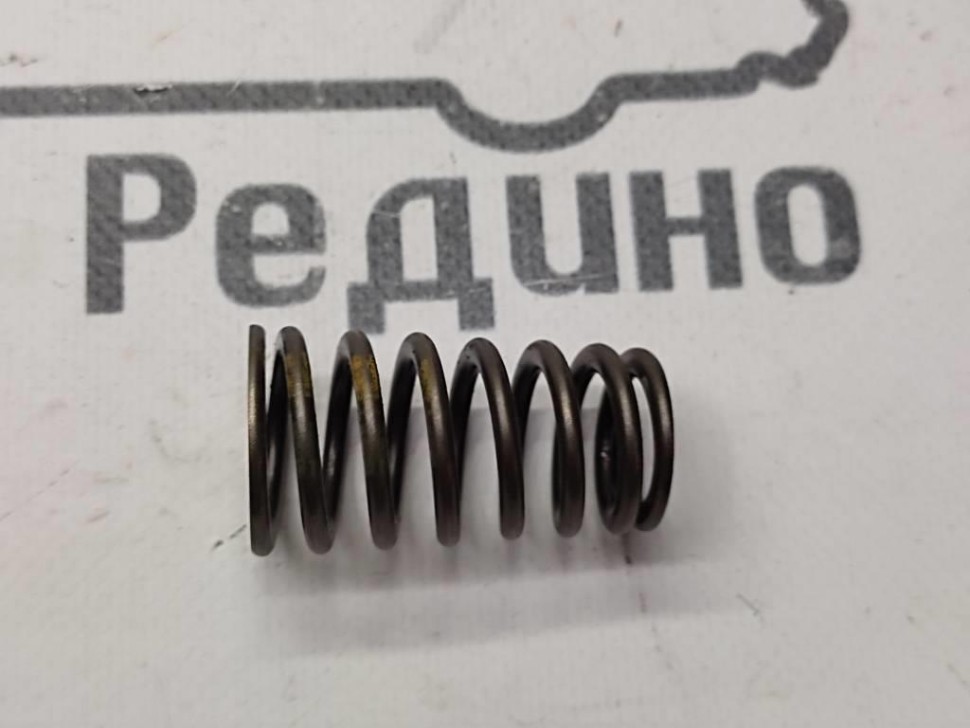 Пружина клапана ГРМ MERCEDES-BENZ M-класс W163 рестайлинг (2001 - 2005) фото 1 — Разборка Мерседес