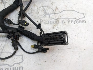 Проводка моторная MERCEDES-BENZ C-класс W205/S205/C205/A205 (2014 - 2018) — Разборка Мерседес