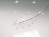 Капот MERCEDES-BENZ SLK-класс R170 рестайлинг (2000 - 2004) фото 10 &mdash; Разборка Мерседес