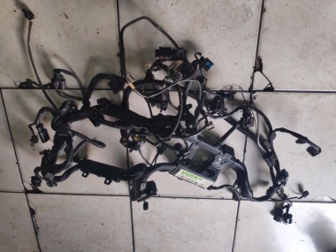 Проводка моторная MERCEDES-BENZ SLK-класс R171 (2004 - 2008) — Разборка Мерседес