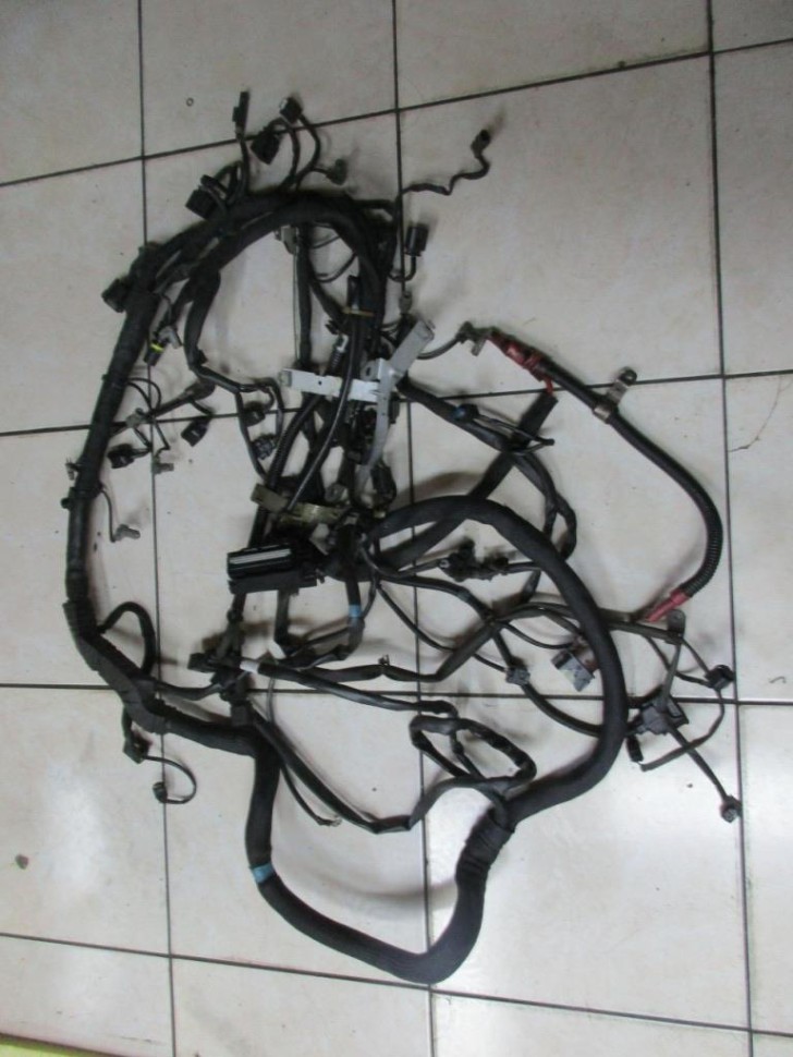 Проводка моторная MERCEDES-BENZ GL-класс X164 (2006 - 2009) фото 1 — Разборка Мерседес