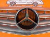 Решетка радиатора MERCEDES-BENZ B-класс W245 (2005 - 2009) фото 3 &mdash; Разборка Мерседес
