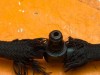 Обратка форсунок MERCEDES-BENZ V-класс W638/W639 (1996 - 2003) V 220 2.1 D AT (122 л.с.) фото 4 &mdash; Разборка Мерседес