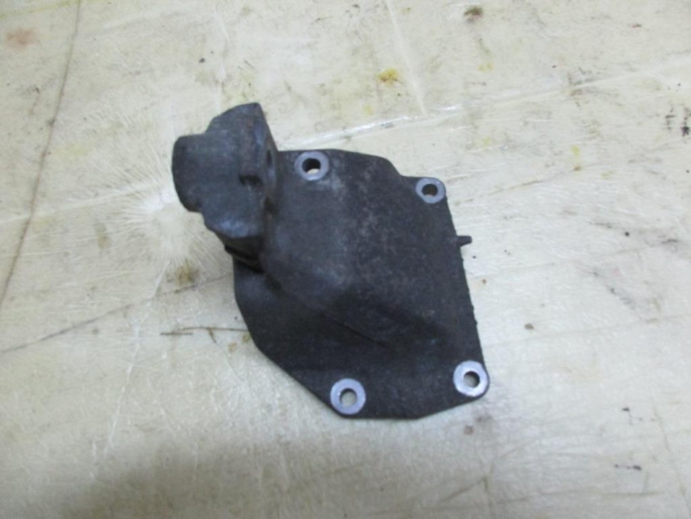 Лапа правая MERCEDES-BENZ M-класс W163 (1997 - 2001) фото 1 — Разборка Мерседес