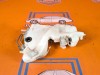 Бачок омывателя MERCEDES-BENZ E-класс W211/S211 рестайлинг (2006 - 2009) фото 2 &mdash; Разборка Мерседес
