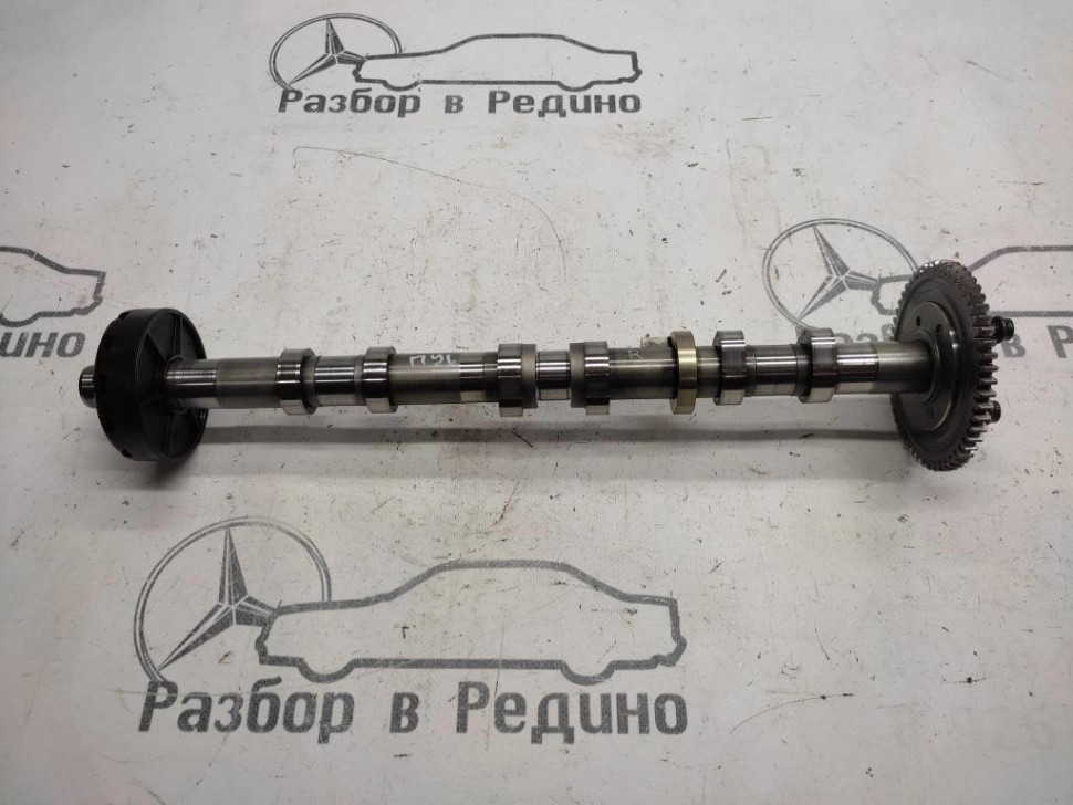 Распредвал впускной MERCEDES-BENZ M-класс W164 (2005 - 2008) фото 1 — Разборка Мерседес