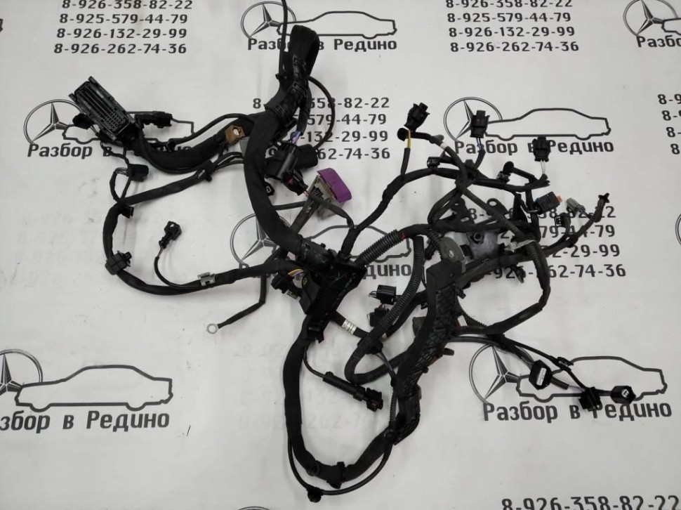 Проводка моторная MERCEDES-BENZ V-класс W447 (2014 - 2025) фото 1 — Разборка Мерседес